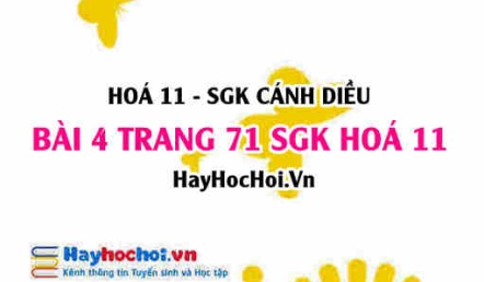 Bài 4 trang 71 SGK Hoá 11 Cánh diều